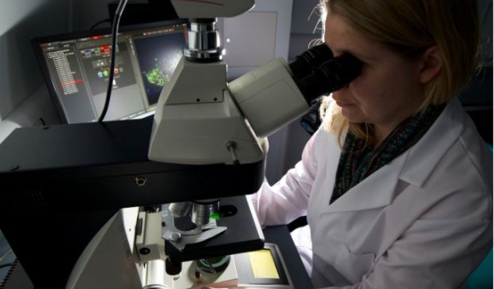 New funding to develop cutting edge medical research ideas The Exeter Daily